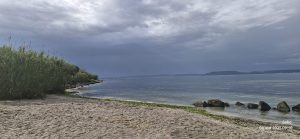 Rivage de l'Etang de Berre