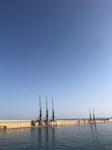 Les grues Elégantes